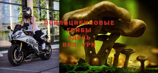 стаф Богородск