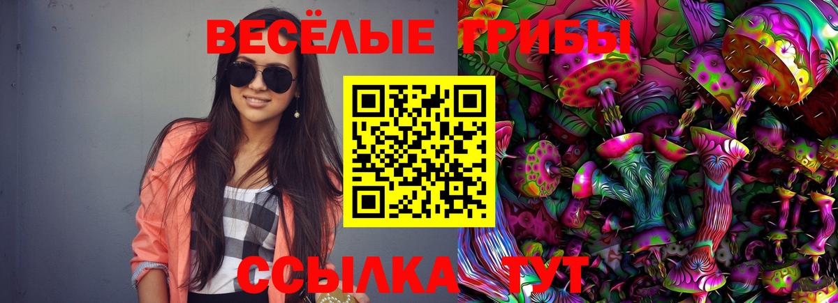 Галлюциногенные грибы Psilocybine cubensis Гатчина
