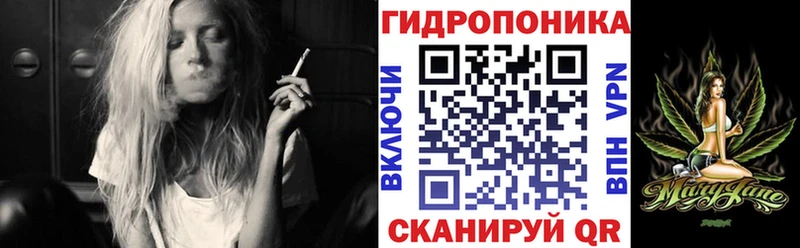 цена наркотик  Гатчина  Каннабис AK-47 